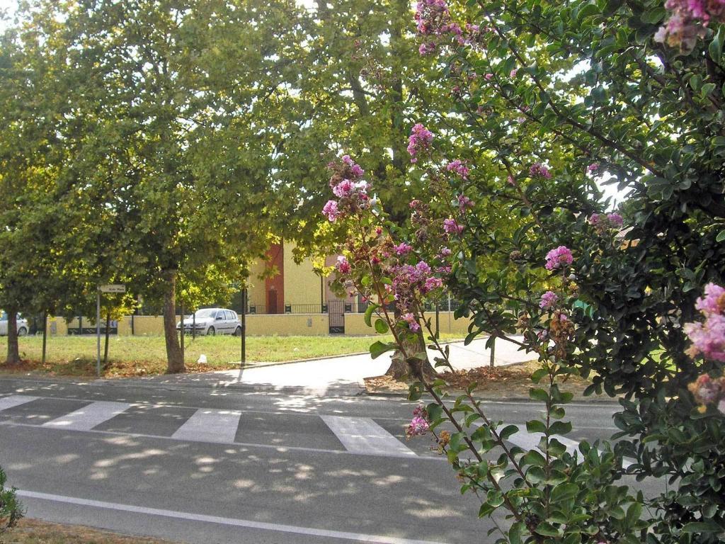 Residence Mediterraneo Lido delle Nazioni Pokoj fotografie